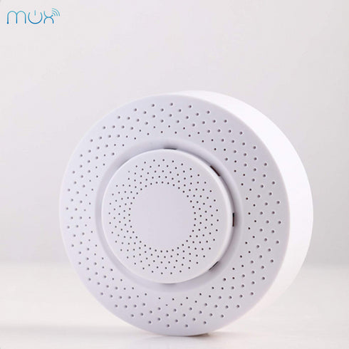 Smart Air Detector